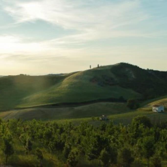 Poggio Ai Legni Villa Certaldo Bagian luar foto